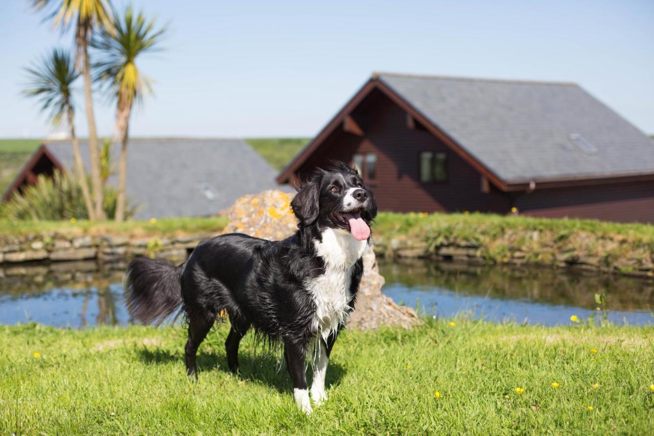 Retallack Resort & Spa Padstow Exterior foto